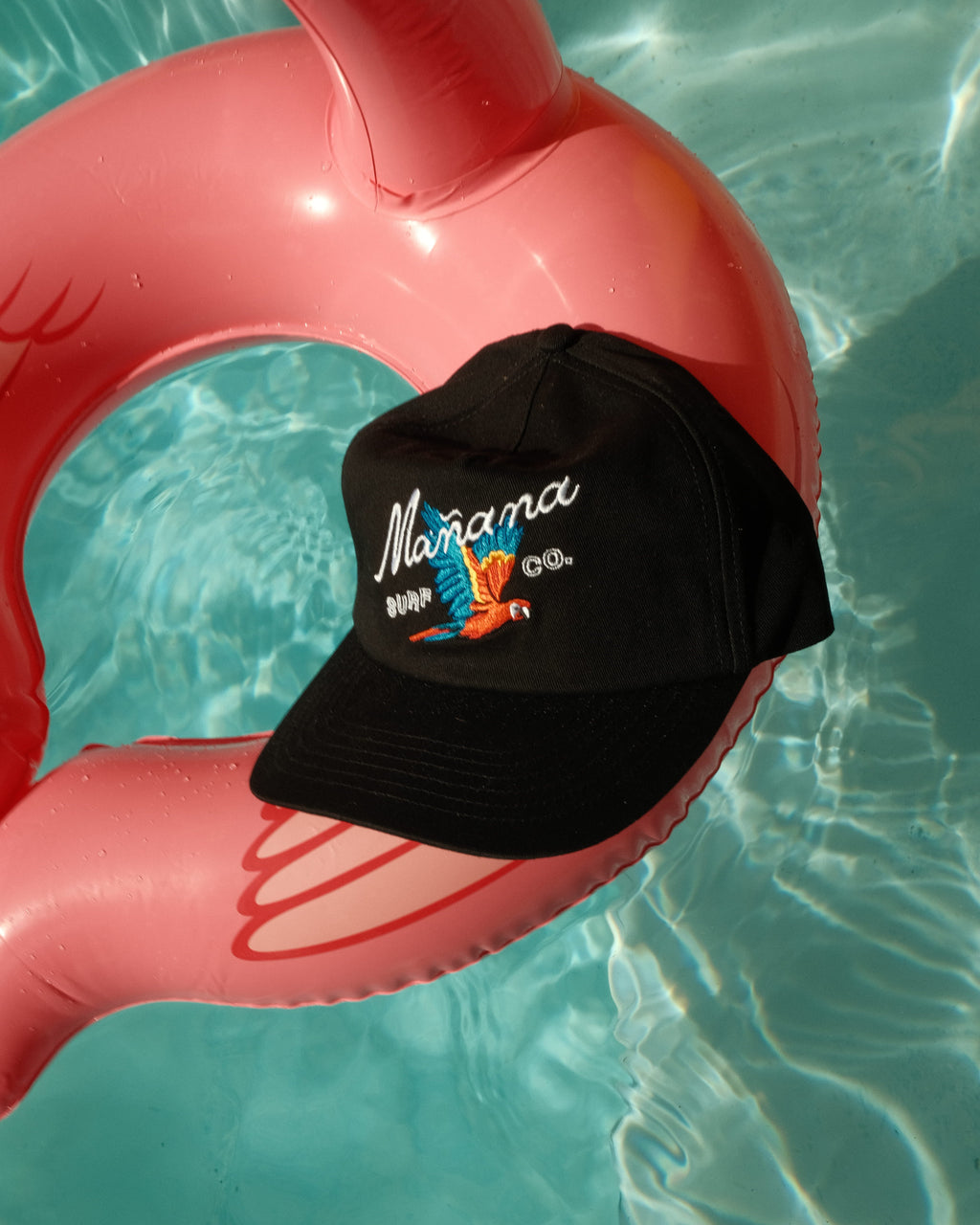 Mañana Macaw Cap - Black