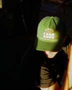 LORO Foam Trucker